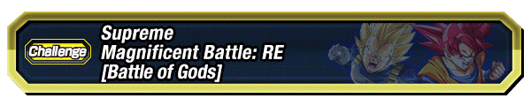 Vs. Vegeta