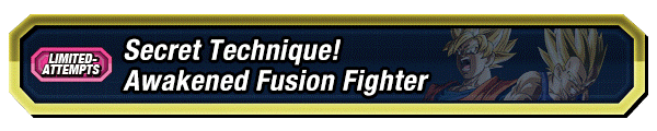 Awakened Fusion Fighter