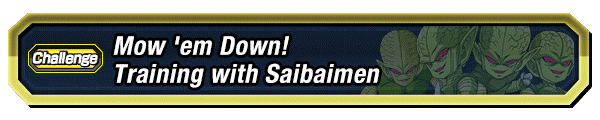 Training with Saibaimen