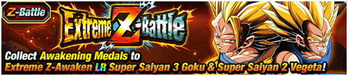 Super Saiyan 3 Goku & Super Saiyan 2 Vegeta