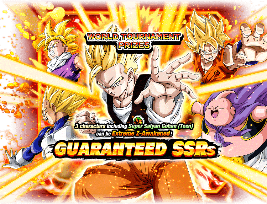 SSR Guaranteed Summon (World Tournament Reward Characters)