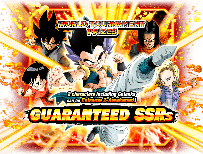 SSR Guaranteed Summon (World Tournament Reward Characters)
