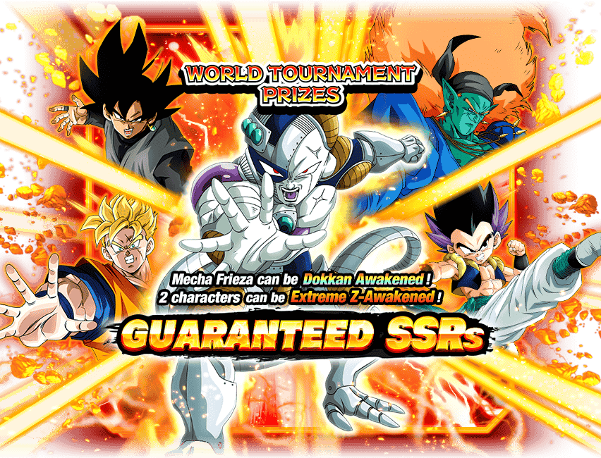SSR Guaranteed Summon (World Tournament Reward Characters)