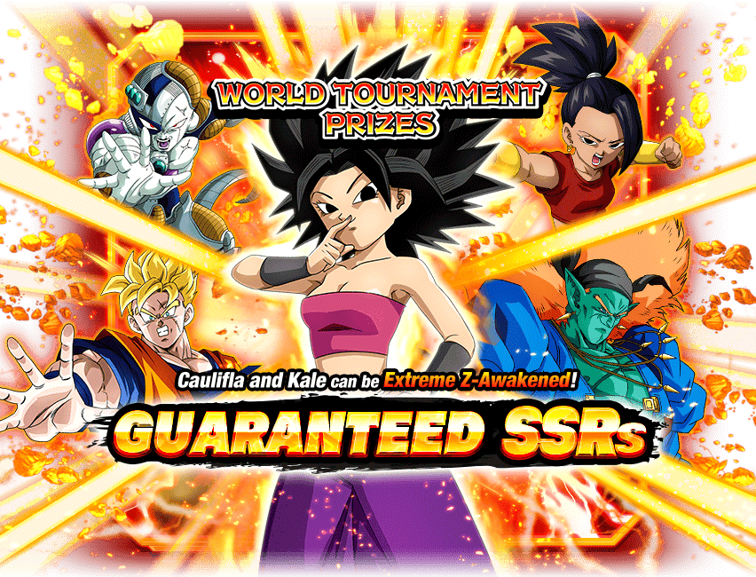 SSR Guaranteed Summon (World Tournament Reward Characters)