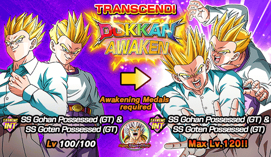 Banner for Legendary Summon
[Special Summon Ticket]!