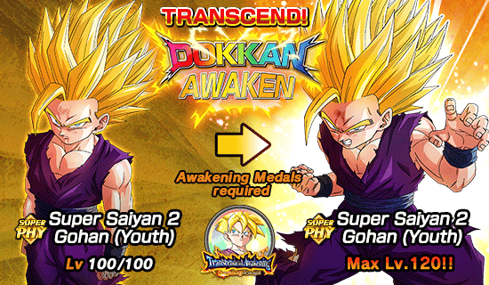 Banner for Dokkan Festival x 
Top Legendary Summon Carnival!