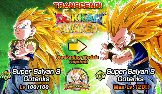 Banner for SSR Summon Rate Doubled!
Divine Dragon Carnival!