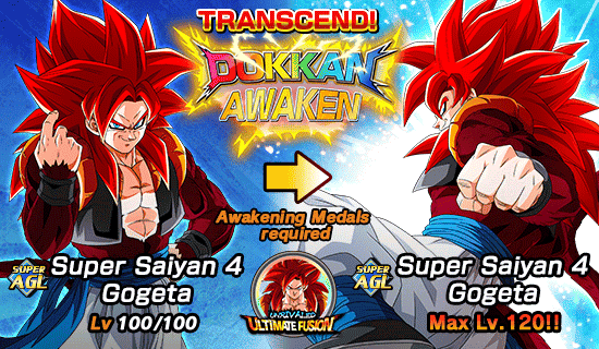 Banner for Dokkan Festival x 
Legendary Summon Carnival!