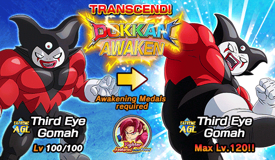 Banner for Legendary Summon 
[Special Summon Ticket]!