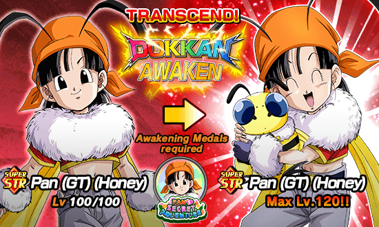 Banner for Pan's Secret Adventure!