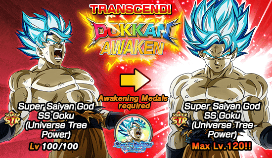 Banner for Super Dragon Ball Heroes 
Crossover Summon!