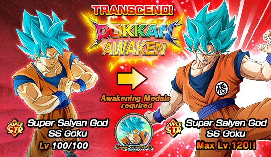 Banner for Dokkan Festival x 
Legendary Summon Carnival!