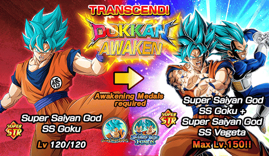 Banner for Dokkan Festival x 
Legendary Summon Carnival!