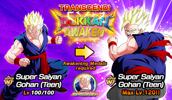 Banner for Dokkan Festival Is Now On!