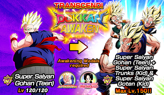 Banner for Dokkan Festival Is Now On!