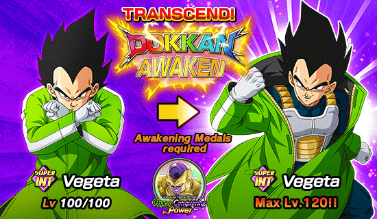 Banner for Dokkan Festival 
[Special Summon Ticket]!