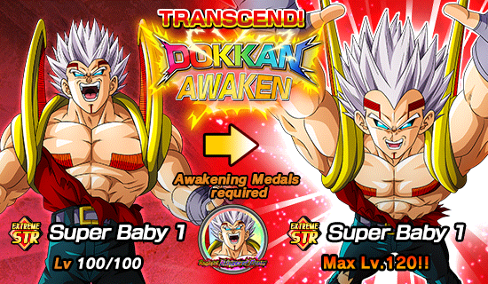 Banner for Dokkan Festival Is Now On!