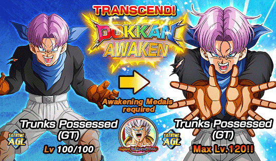 Banner for Dokkan Festival Is Now On!