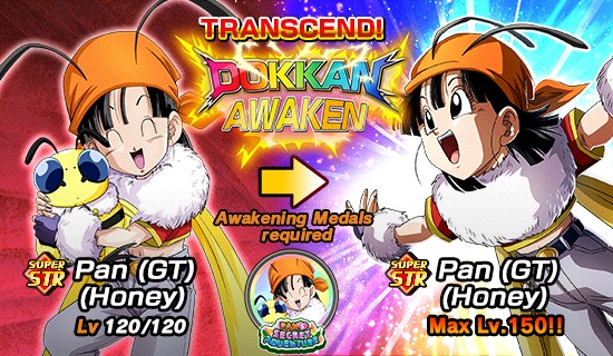 Banner for Pan's Secret Adventure!