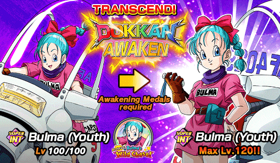 Banner for Accelerate! Bulma's Wild Chase!