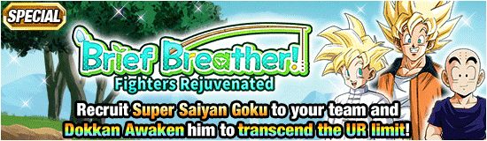 Banner for In the Spring Breeze! Cherry 
Blossoms Dokkan Campaign!