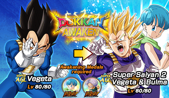 Banner for Vegeta the Indomitable Warrior!