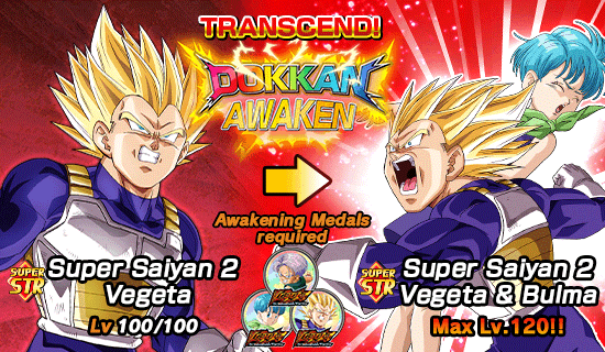 Banner for Vegeta the Indomitable Warrior!