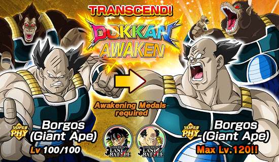 Banner for [DB Story] 
A Lone Warrior's Last Battle!