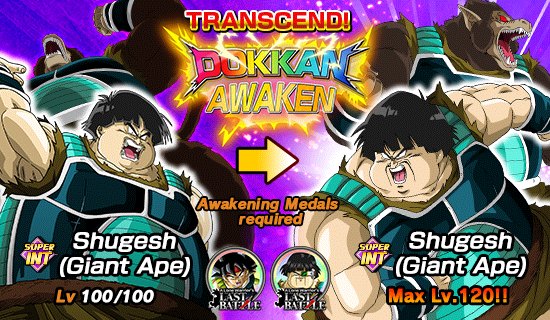 Banner for [DB Story] 
A Lone Warrior's Last Battle!