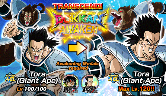 Banner for [DB Story] 
A Lone Warrior's Last Battle!