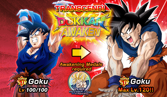 Banner for Pure Destruction and Carnage!