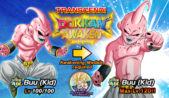 Banner for Pure Destruction and Carnage!