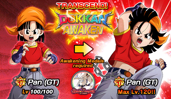 Banner for Dokkan Festival x 
Legendary Summon Carnival!