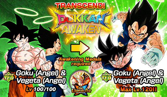 Banner for The Ultimate Pair (The Otherworld)!