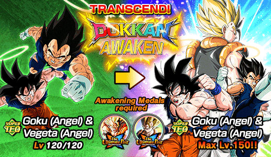 Banner for The Ultimate Pair (The Otherworld)!