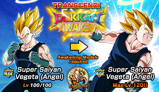 Banner for Dokkan Festival x 
Top Legendary Summon Carnival!