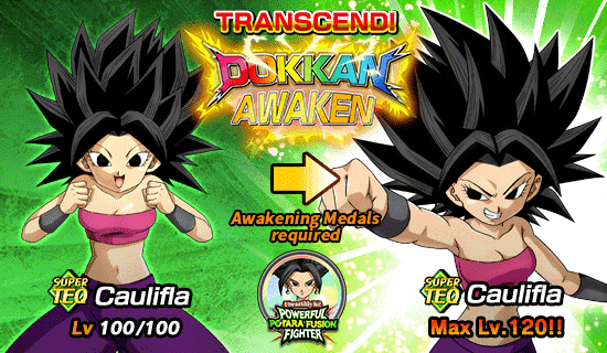Banner for Unearthly Ki! 
Powerful Potara Fusion Fighter!
