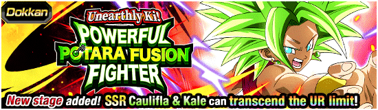 Unearthly Ki! 
Powerful Potara Fusion Fighter!
