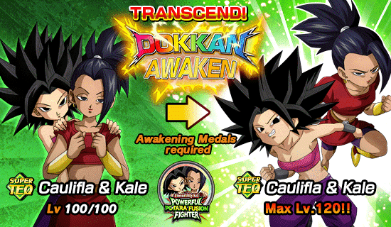 Banner for Unearthly Ki! 
Powerful Potara Fusion Fighter!