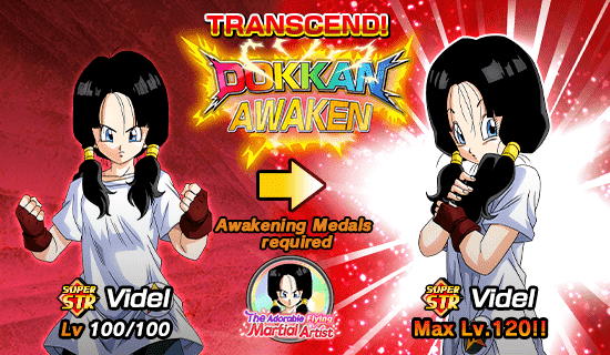 Banner for The Adorable Flying Martial Artist!