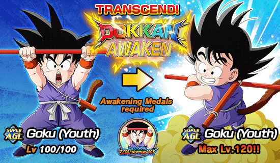 Banner for Dokkan Festival Is Now On!