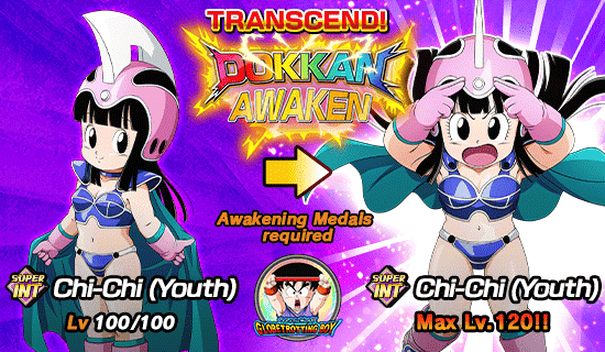 Banner for Dokkan Festival Is Now On!