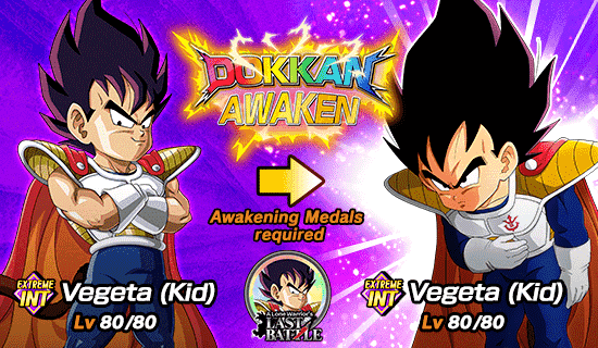 Banner for [DB Story] 
A Lone Warrior's Last Battle!