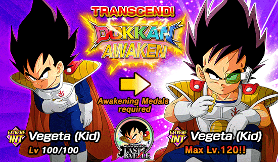 Banner for [DB Story] 
A Lone Warrior's Last Battle!