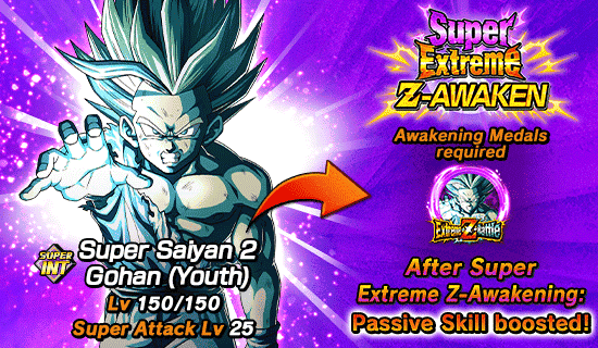 Banner for New Level of Extreme Z-Battle!