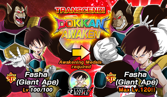 Banner for [DB Story] 
A Lone Warrior's Last Battle!