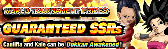 Banner for Beyond the Ultimate! Dokkan 9th
Anniv. Maximum Celebration Part 2!