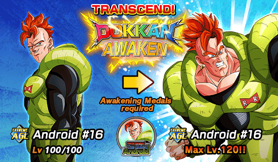 Banner for Dokkan Festival 
[Special Summon Ticket]!