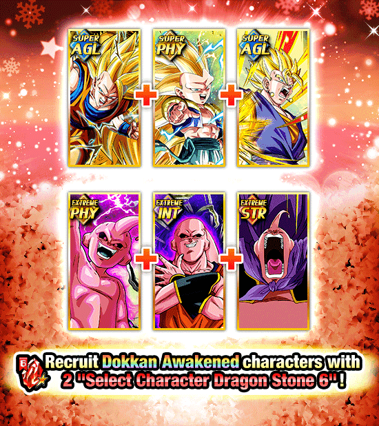 Banner for Select Characters Dokkan Festival!