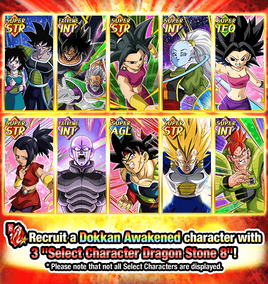 Banner for Select Characters Dokkan Festival!